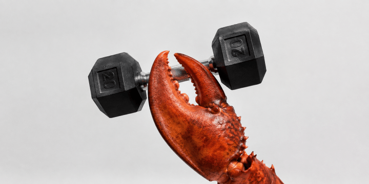 Claw weight 1