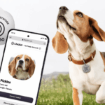 Pet Tracking Tags: Life360's New $8 Scannable QR Tags