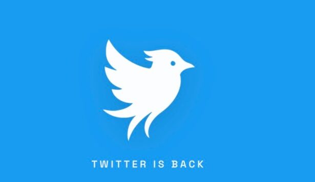 Twitter.now Social Network: New Platform with Trust Scores