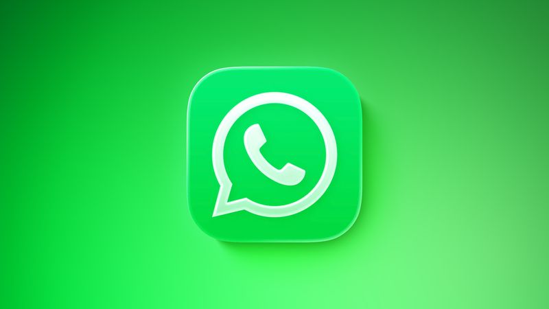 WhatsApp contact screen showing username field