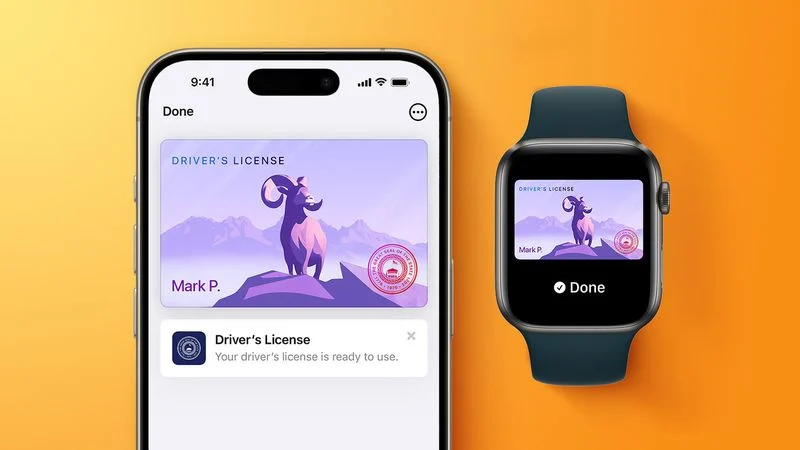 Apple Wallet Driver's License Expanding to 4 New States