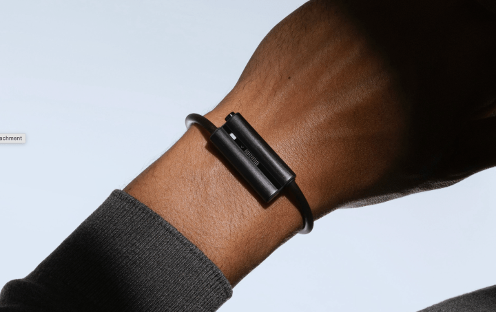 Luffu Link LTE Band: Fitbit Founders' Health Wearable
