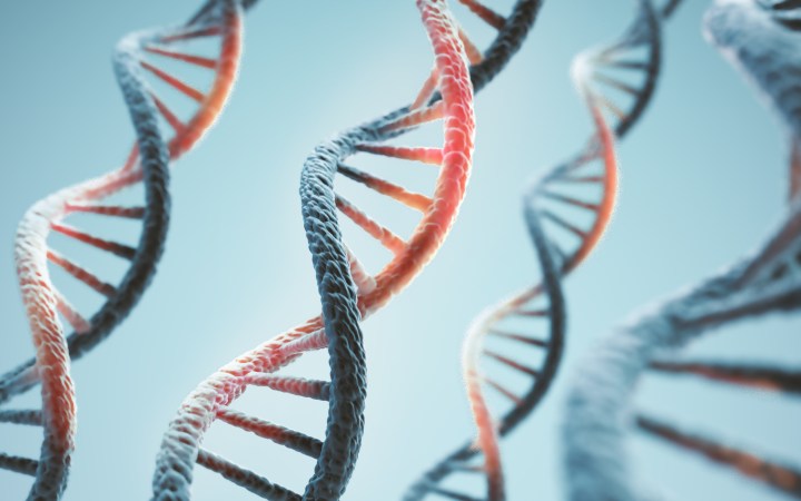 Anthropic Biology Lab Runs Real Experiments