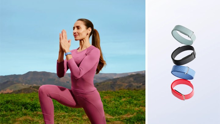 Fitbit Air India: Google's ₹13,999 Screen-Less Tracker