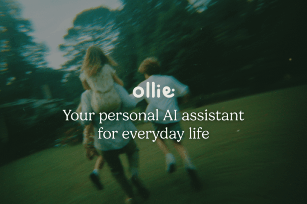 Ollie AI Assistant Privacy Focus in the AI Race